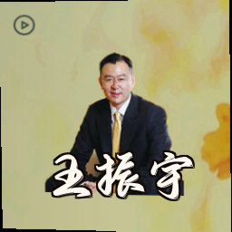 王振宇